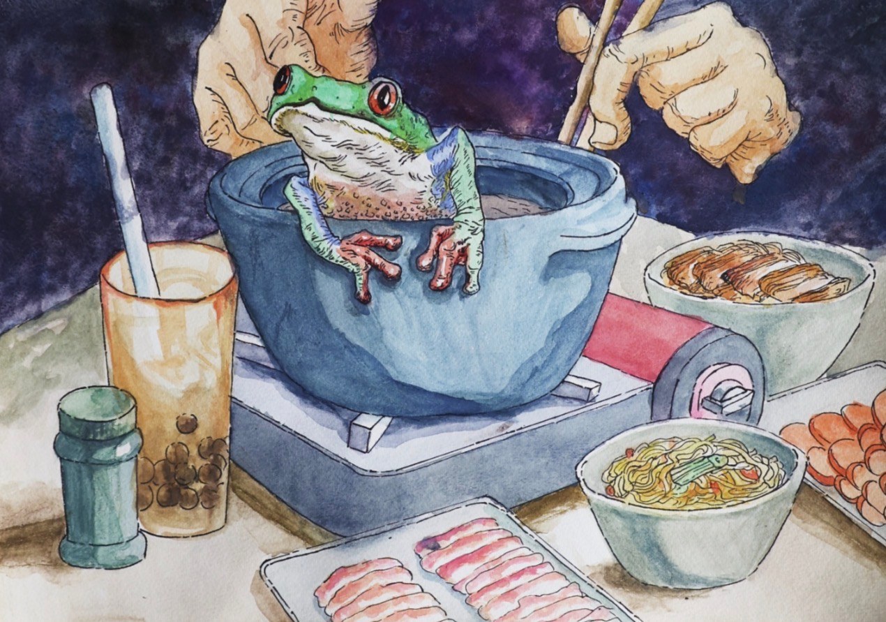 A watercolor of a red-eyed tree frog perched on the rim of a hot pot, surrounded by bowls of noodles and a boba tea